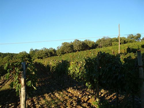 Agriturismo Il Villino Fonterutoli المظهر الخارجي الصورة